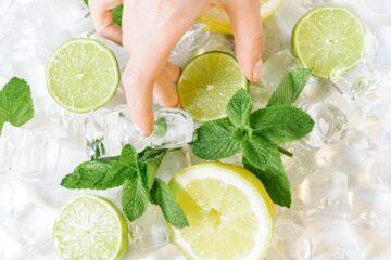 Close-up of hand touching lime and lemon slices with mint and ice.